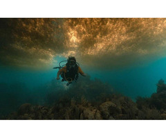 Puerto Morelos Diving