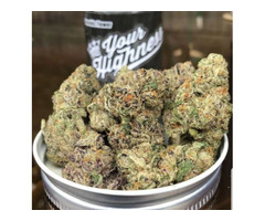 Buy Her Highness Marijuana Strain in Georgia