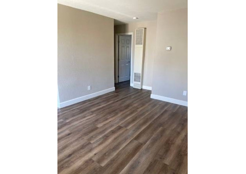 Modern 1 Bedroom Apartment in Prime Reno Location - 1101 E Taylor St