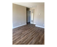 Modern 1 Bedroom Apartment in Prime Reno Location - 1101 E Taylor St