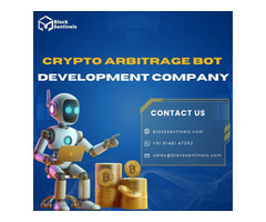 Block Sentinels: Crypto Arbitrage Bot Development Company