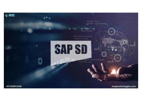 SAP SD Training Institute In Marathahalli Bangalore - MNP Technologies