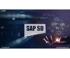 SAP SD Training Institute In Marathahalli Bangalore - MNP Technologies