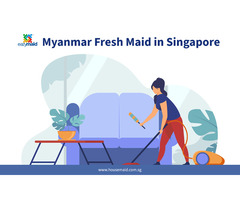 Myanmar Fresh Maid in Singapore