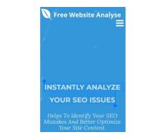 INSTANTLY ANALYZE YOUR SEO ISSUES Free Report