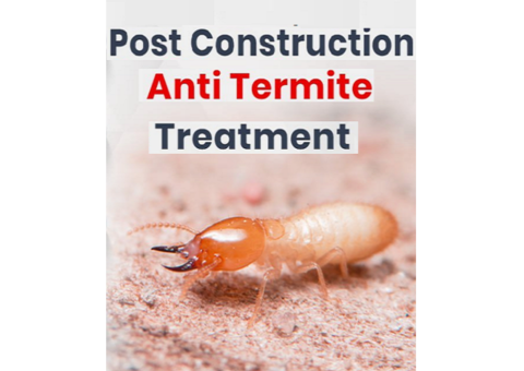 Pest Control in Noida | Best Pest Control in Greater Noida.
