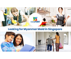 Looking for Myanmar Maid in Singapore