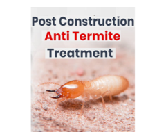 Termite Control Laxmi Nagar Delhi | Pest Control Laxmi Nagar.