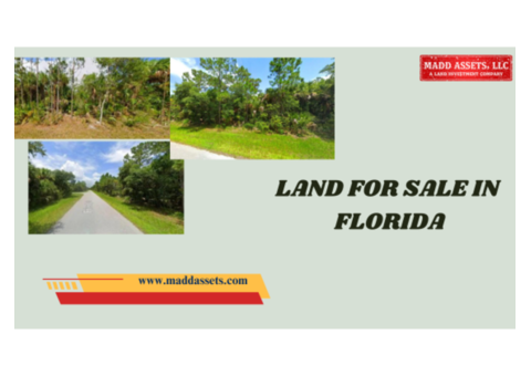 Affordable Land for Sale in Florida - Invest Today