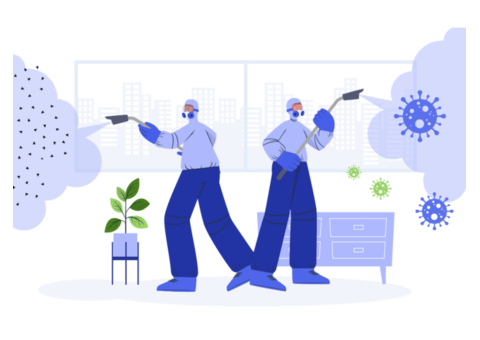 Termite Pest Control Services in Shahdara.