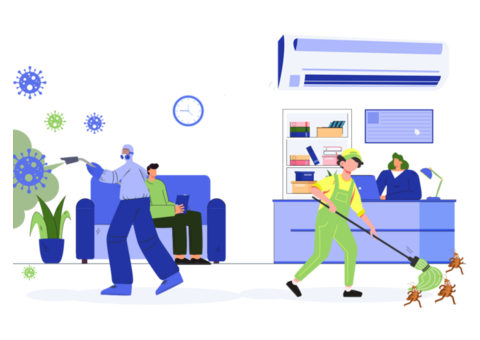 Best Termite Pest Control Services in Vaishali Ghaziabad.