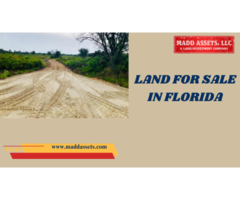 Affordable Land for Sale in Florida