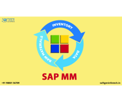 Best SAP MM Training in Bangalore BTM Layout | Softgen Infotech