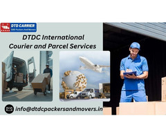 Delhi’s Best DTDC International Courier and Parcel Services