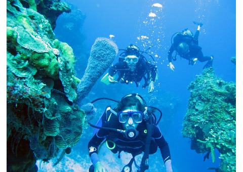 Dive Shops Cancun