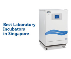 Best Laboratory Incubators For Sale 2024