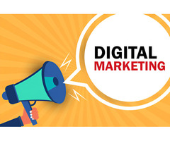 Drive Growth with Data-Driven Digital Marketing Expertise