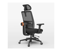 Newtral Ergonomic High Back Office Chair