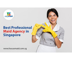 Best Professional Maid Agency in Singapore