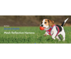 Shop Pet Products Online - Best Deals & Wide Selection