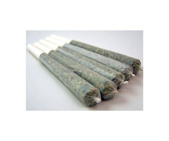 Best Quality Infused Pre Rolls Online