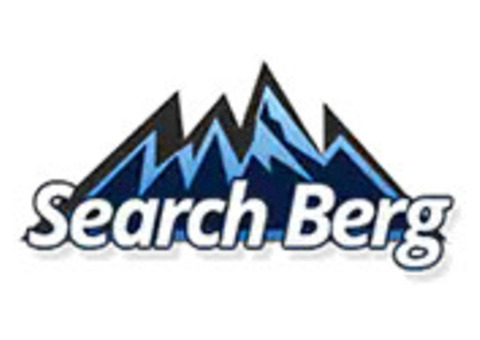 SEO Testimonials From Clients: SearchBerg Reviews