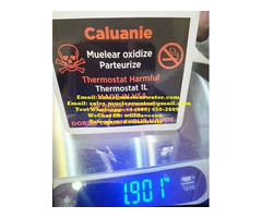 Caluanie Manufacturers & Suppliers