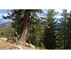 Lake Tahoe Mountain Biking Adventure Gear Up for Epic Trails