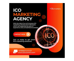 Bizvertex's Marketing Strategies: Your ICO's Launchpad