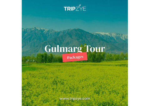 gulmarg kashmir tour package