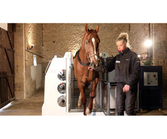 Affordable Horse Treadmill Price In UK - ECB Equine Spa