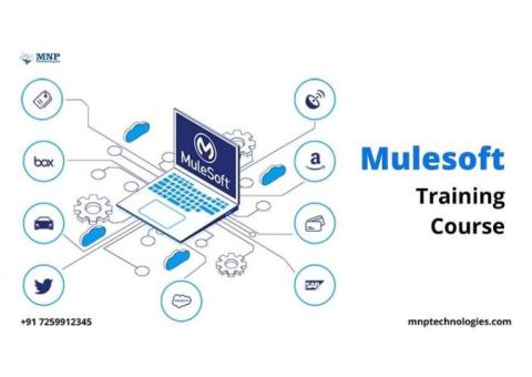 Best Mulesoft Training Institute In Marathahalli | MNP Technologies