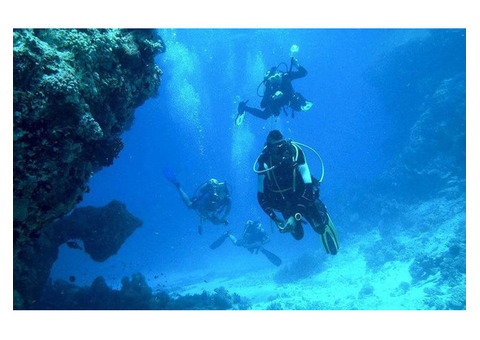 Musa Diving