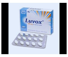 Where to Buy Luvox Online Low price And free Shipping