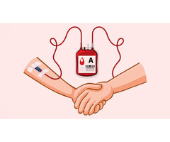 Blood Donor: The Art of Lifesaving Generosity