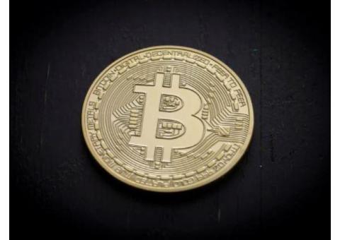 COUNTERFEIT BITCOIN TRANSACTION SOFTWARE