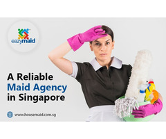 Hire a Reliable Maid Agency in Singapore