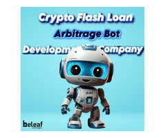 Crypto flash loan arbitrage bot development