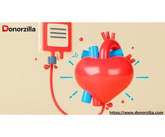 Finding a Blood Donor Made Simple