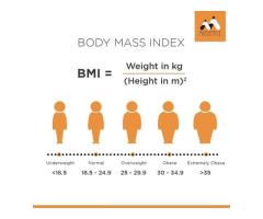 Free Online BMI Calculator India