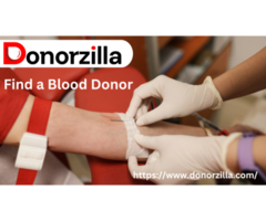 How to Find a Blood Donor Quickly and Effectively