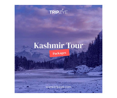 Kashmir Tour Packages