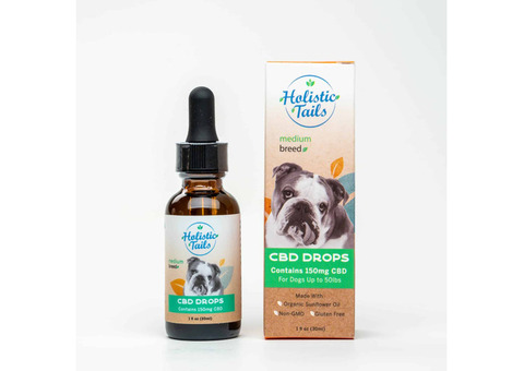 Pet CBD for Travel Anxiety