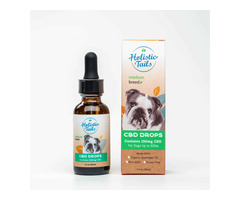 Pet CBD for Travel Anxiety