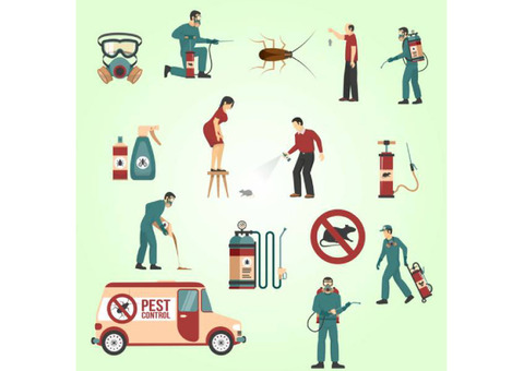 Pest control noida | Termite control noida