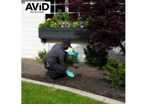 Pest Control Denison: Need Reliable Pest Control?