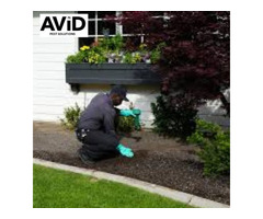 Pest Control Denison: Need Reliable Pest Control?