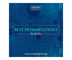 best numerologist in india