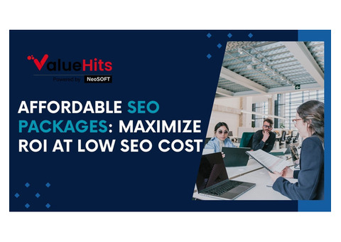 Affordable SEO Packages: Maximize ROI at Low SEO Cost