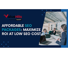 Affordable SEO Packages: Maximize ROI at Low SEO Cost